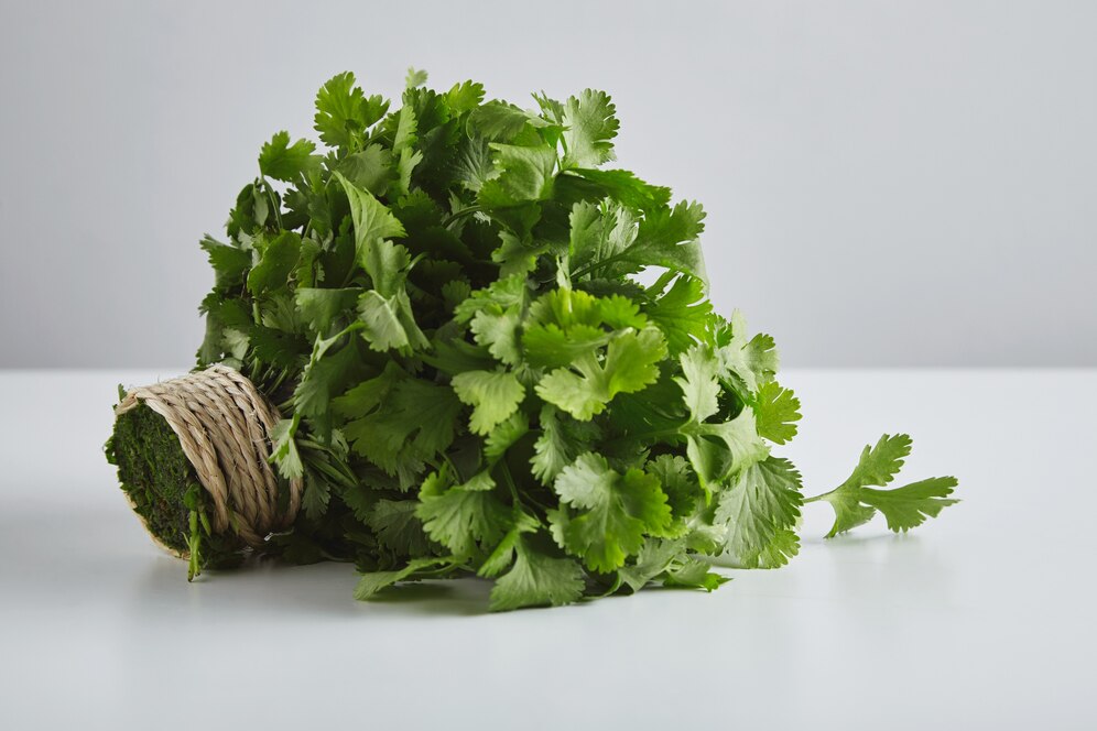 coriander leaves